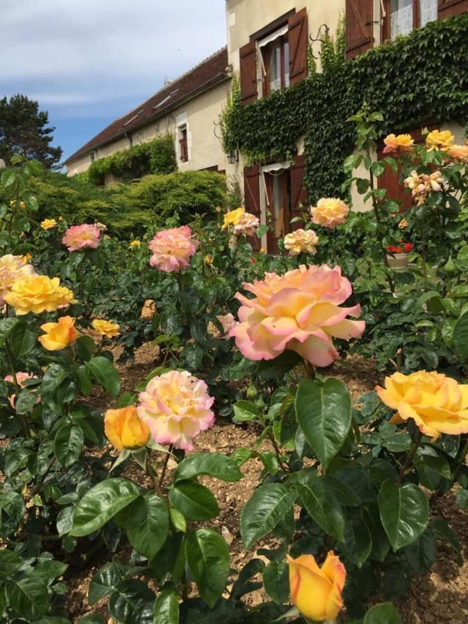 Entre Canal Et Vignes Bed and Breakfast Escolives-Sainte-Camille Exterior foto